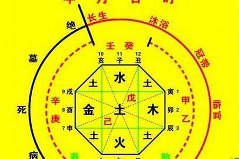 喜水的行业|八字喜水职业(八字喜水的人从事什么行业)